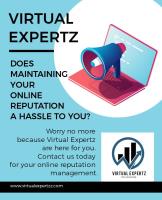 Virtual Expertz image 46